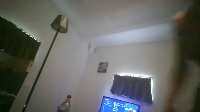 toyxltester Webcam Show