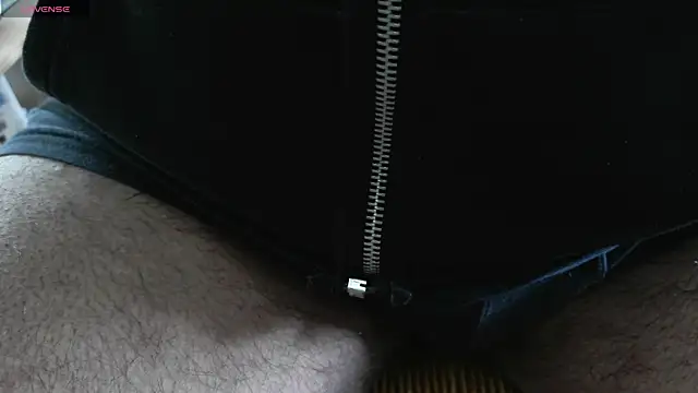 Show webcam de IndienTiger