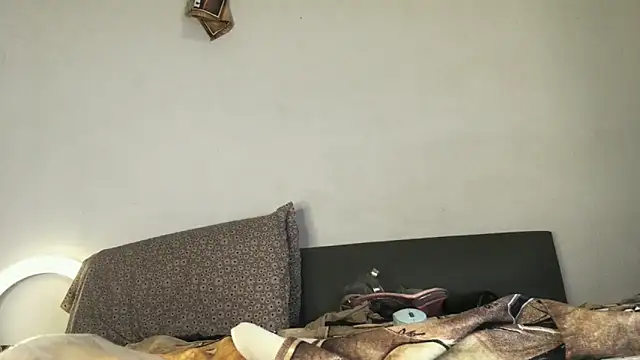 Taylorsexbot webkamerás műsora