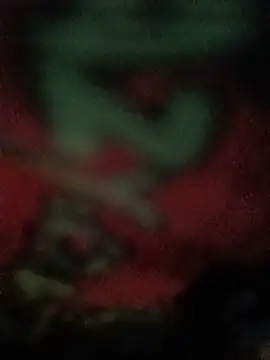 ChuckyyDee's Live XXX Chat