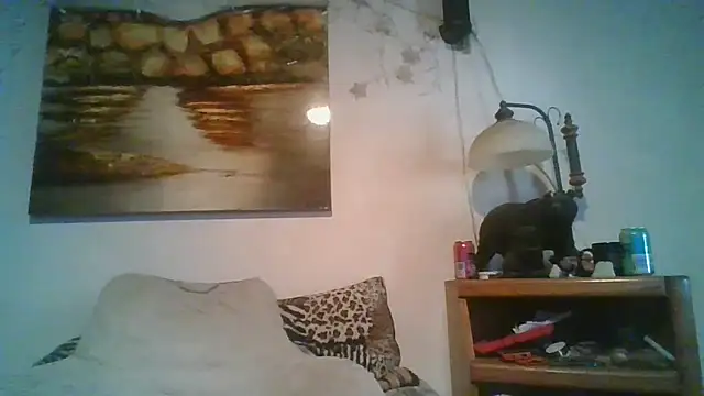 Show webcam de theboobietrap