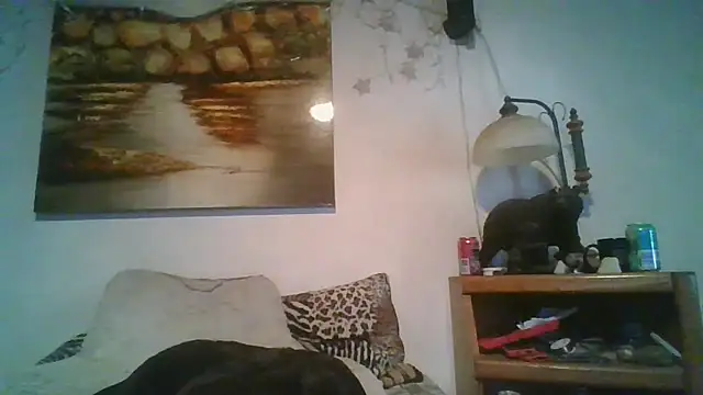 Show Webcam de theboobietrap