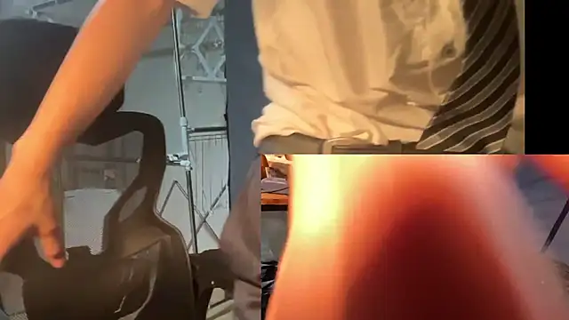 swonpark Webcam Show