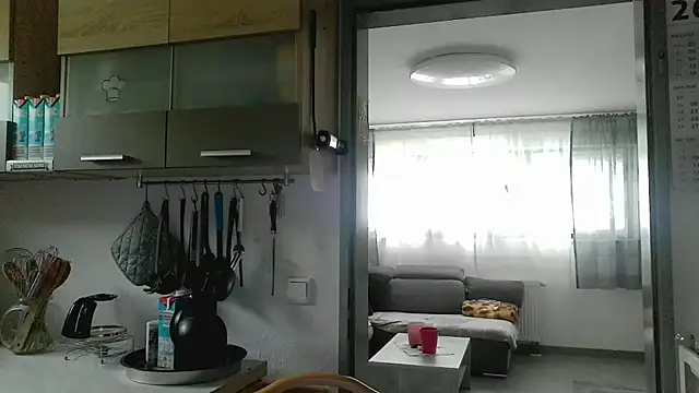 Show de webcam de pimmelmann3