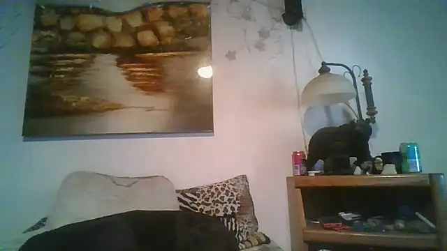 Chat XXX en directo de theboobietrap