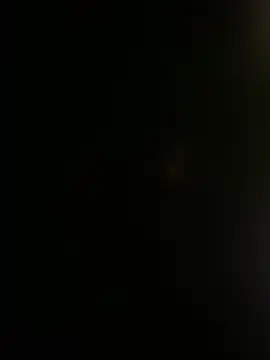 IDGAF-INDB's Live XXX Chat
