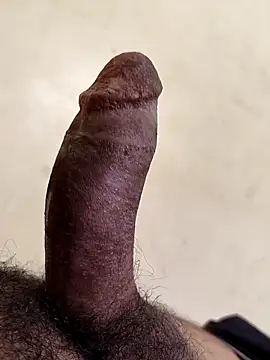 Show de alkhabiir na webcam
