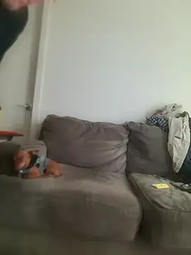 yourMasterisBored's Webcam Show