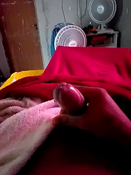 Show de picadme na webcam
