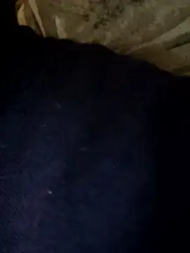 عرض كام Dthang1