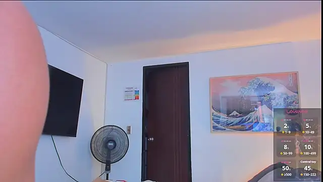 RJBarto 网络视讯表演