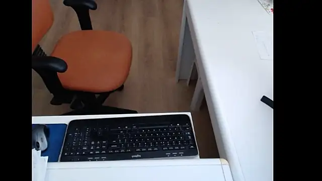 dutchpornking – Kamerová šou