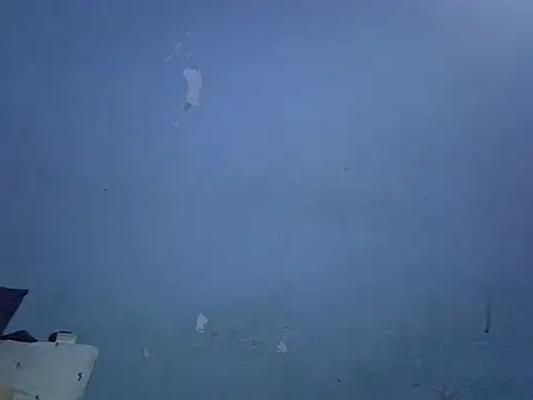FreakyTrixie111 লাইভ XXX চ্যাট