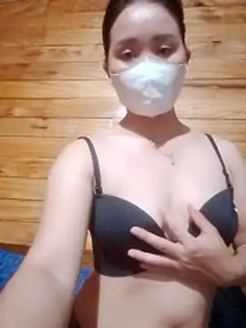 Show Webcam de Td3di