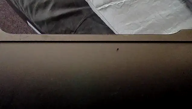 SpankMeDaddy123@xh's Webcam Show