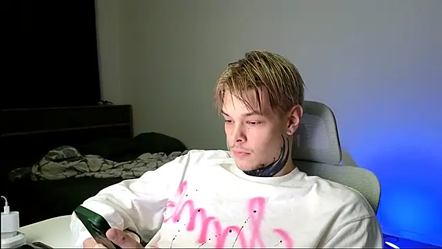 DENIS_HEREn Webbikameraesitys