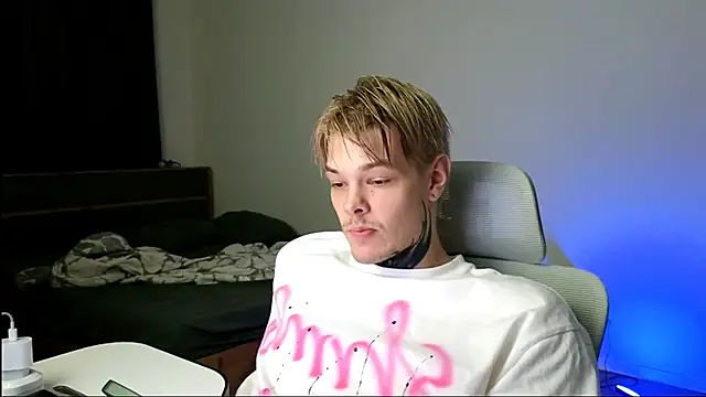 DENIS_HEREn Webbikameraesitys