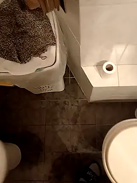 SO-UNICO Webcam show