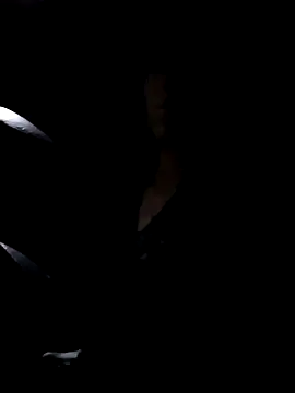 XXX chat uživo modela misscectito13