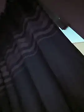 Helsink88 webcam show