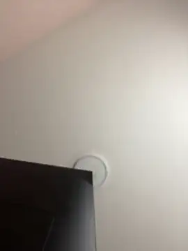 Michelle_ec লাইভ XXX চ্যাট