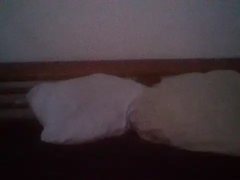 snoppie webcam show