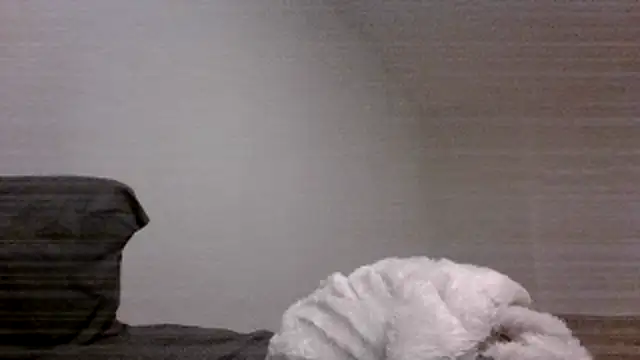 Jbenz420 라이브 XXX 채팅