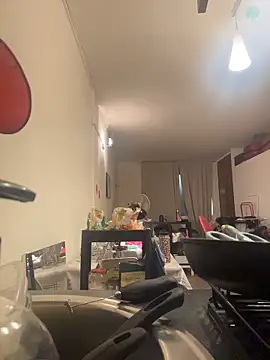 ladyturtle Webcam show