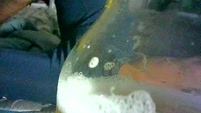 _P3RKY_IMMORTAL3_FIR3_'s Webcam Show