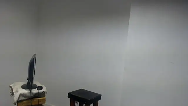 Mastertopdome webcam show