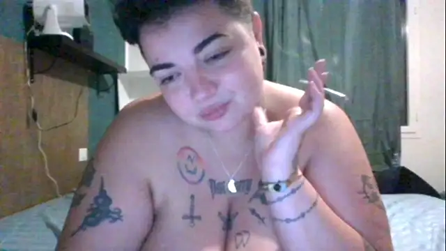 Show webcam de PirateXL
