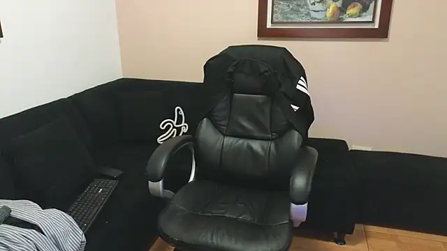 Derekswan Show Webcam