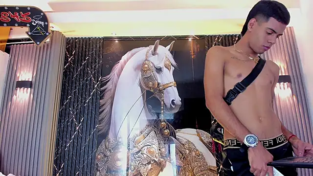 Show webcam de the_knights_of_the_night_