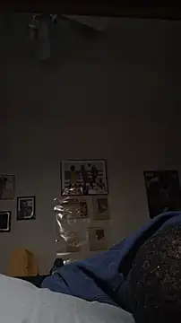Willybigcock1981's Webcam Show