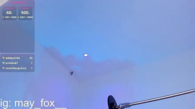 May_Fox_ Live XXX-chat
