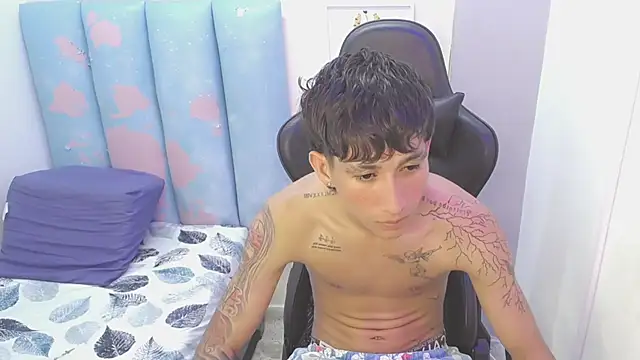 Show Webcam de liam_play