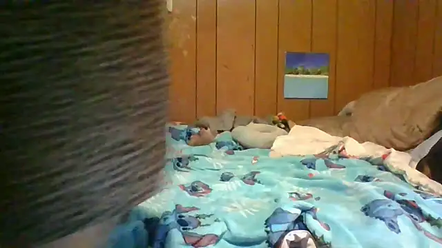 stormynight1 Webcam-Show