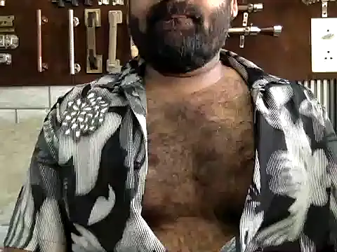 Show webcam de Daddywild