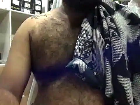 Daddywild 现场XXX聊天