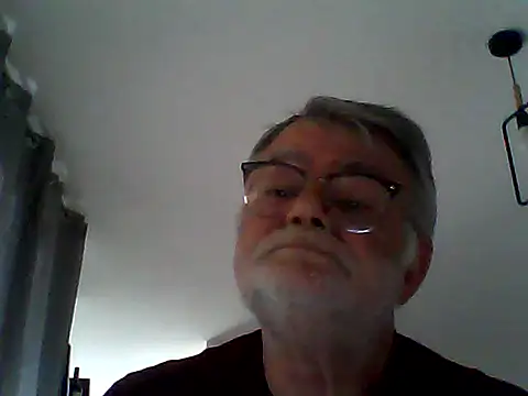 Show Webcam de oura