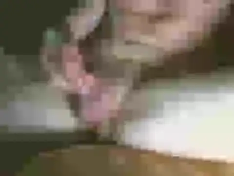 Jackcough123n Live chat-huone