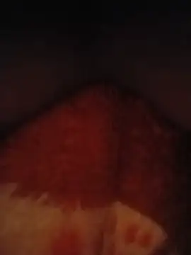 Chat XXX en directo de teluguvarsha