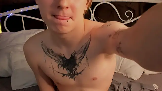 Benjamin_Harrisn Webbikameraesitys