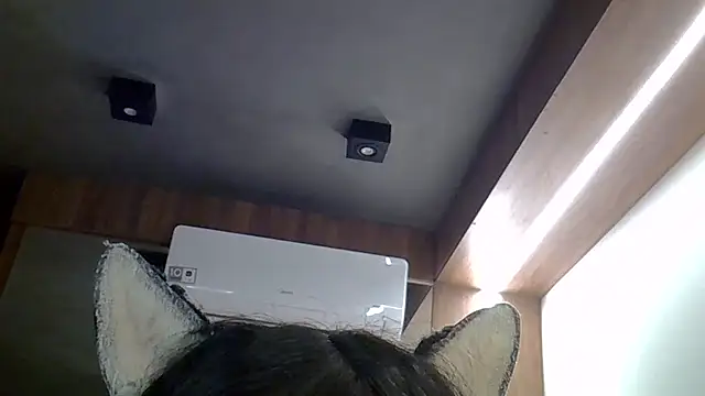 Show de webcam de SkinnyKitten
