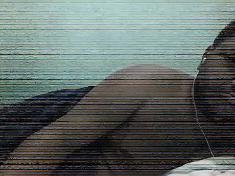 PardoAlter's Webcam Show