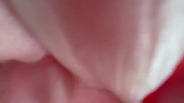 s-te-fan-i Webcam-Show