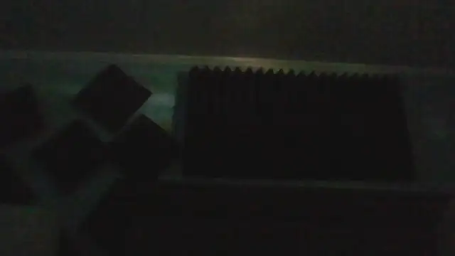 Show webcam de chased21