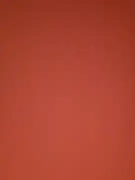 Takeonatakeのウェブカメラショー