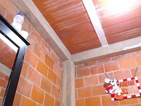 vergon3624n Webbikameraesitys