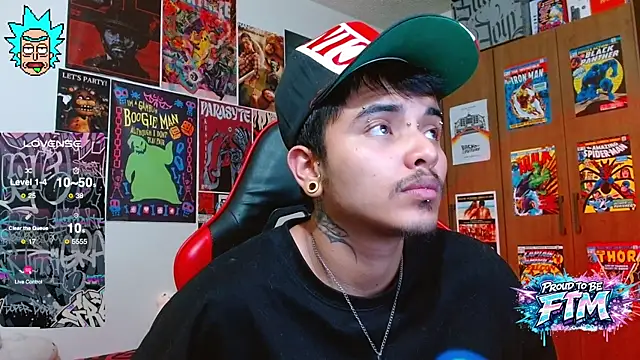 Hgp3riodictabl3's Webcam Show